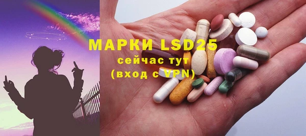 прущие грибы Володарск