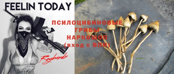 СК Волосово