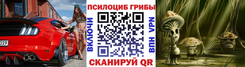 Галлюциногенные грибы Cubensis  Кущёвская 